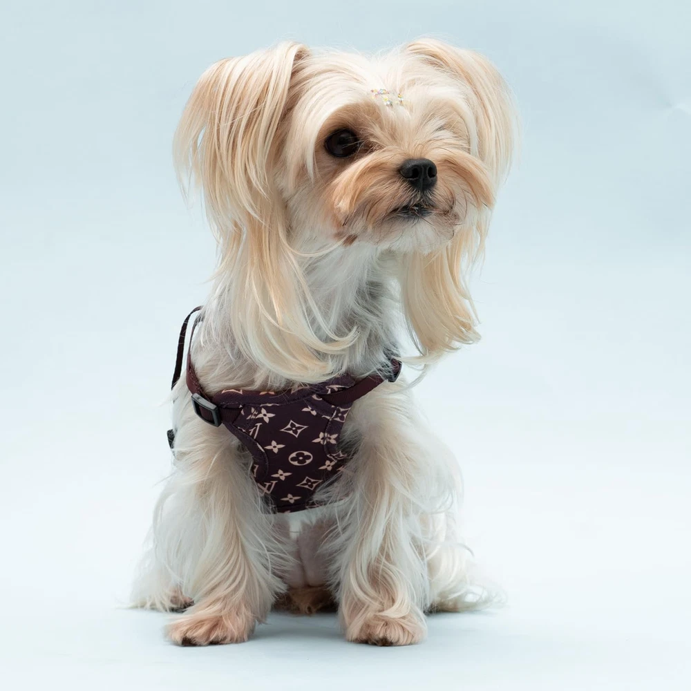 Dog Harness Dog Harness, No-Pull Pet Harness for Small Dogs Puppy Adjustable Sof