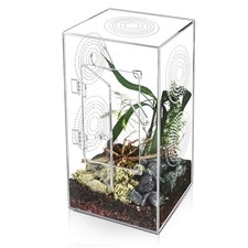 Large Acrylic Terrarium for Tarantulas, Jumping Spiders - 11.7x6x6 Inch Reptile