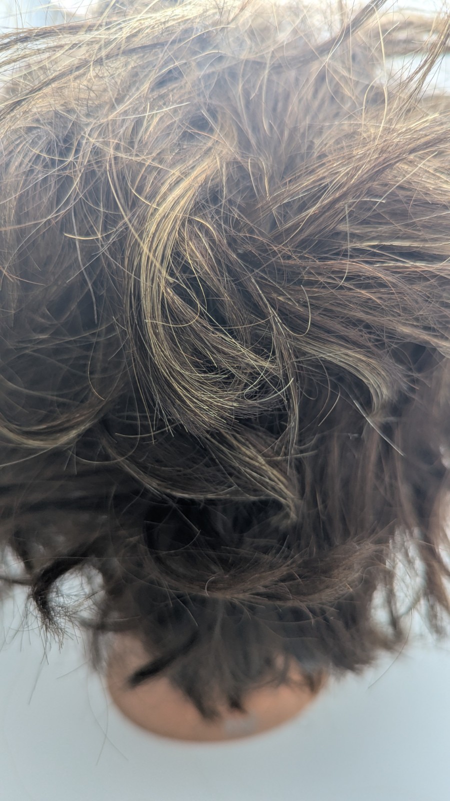 Hairart Cosmetology Mannequin Head, Human Hair