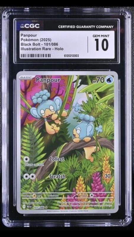 Panpour