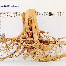 Manzanita Direct | eBay Stores