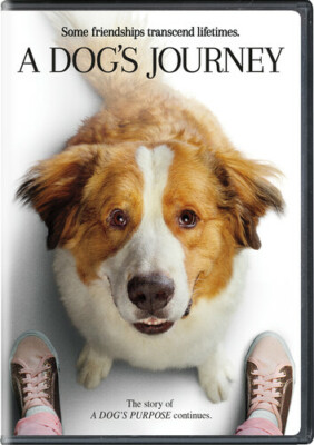 A Dog's Journey (DVD, 2019) - **DISC ONLY - NO CASE**