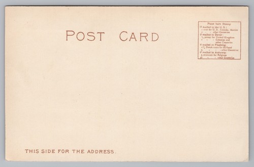 Postcard Red Star Line Transatlantic Steamer Ship Artists Card Unposted - Picture 2 of 2