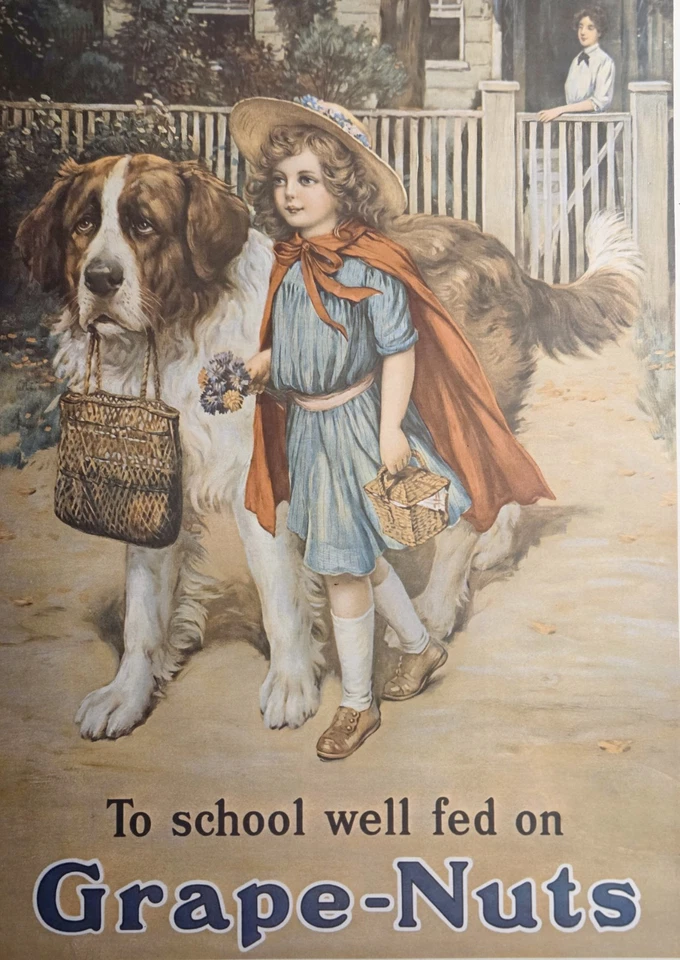 Vintage Grape-Nuts Poster Girl & St. Bernard Dog Portal Publications Advertising - Image 2 of 4