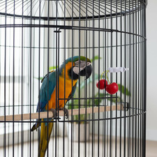 8 Pcs Bird Cage Food Holder, White Parakeet Cage Accessories, Food Holder for...