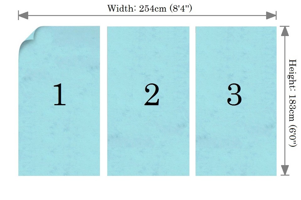 Floral Wallpaper Mural for interior walls 100x72 icn red poppy flower