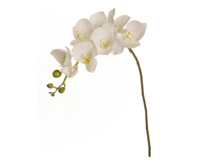 Real Touch Orchidee kleiner Frühling Ostern