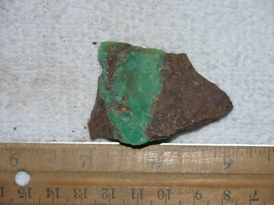 Chrysoprase rough mixed gem grade Australia 1.75 inch C69