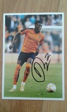 Kortney Hause Wolves  Hand Signed 7x5 bordered photo Autograph