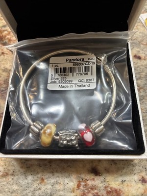 Pandora Charm Bracelet