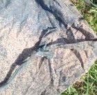 Picture 2 of 7