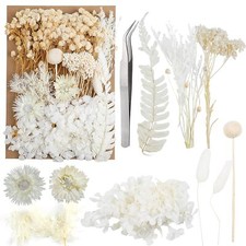 Dried FlowersDried Flowers Set for DIY Scrapbook Accessories Flower Arrangeme...
