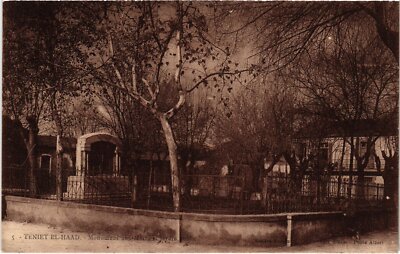CPA AK ALGERIA TENIET-el-HAAD Monument aux Morts - Jardin Public (1380656)