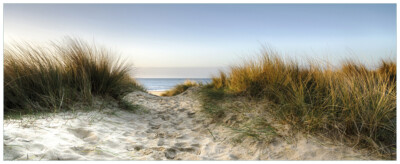 Wallario Premium Poster Plakat Weg durch Dünen Strand Meer Sand   Strandhafer
