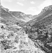 Jonte-Tal ca. 1960 - 3 Negative 6 x 6 Lozère...