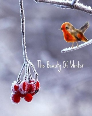 The Beauty of Winter: Mind Mapper by Samantha Ratcliffe-d'Arrigo (English) Paper