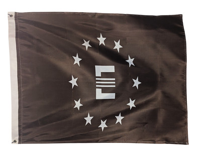Fallout Enclave Flag Banner Roleplaying 3ft X 2ft Gaming PlayStation Xbox