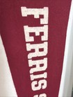 Vintage Ferris State Bulldogs University 5x14.5 Inch Pennant — photo 10