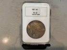 1887 Morgan Silver Dollar S$1 NGC MS66 Golden Tone, Old Fatty Holder