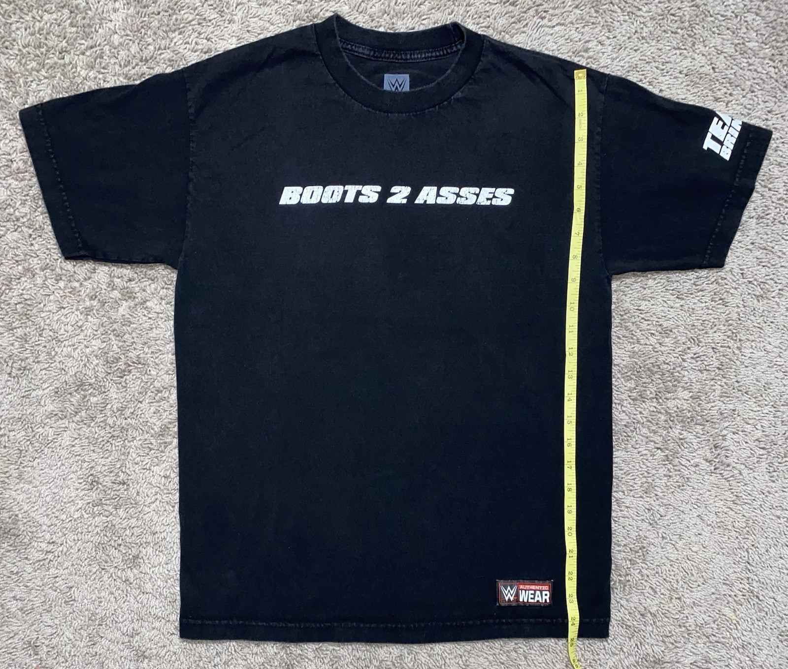 The Rock 24-7-365 Team Bring It Visit Boots to Asses Mens Black T-shirt MEDIUM