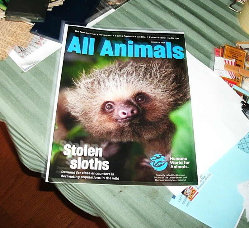 All Animals Magazine, Summer 2026