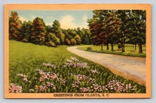Linen Curved Road Greetings From Olanta South Carolina P641
