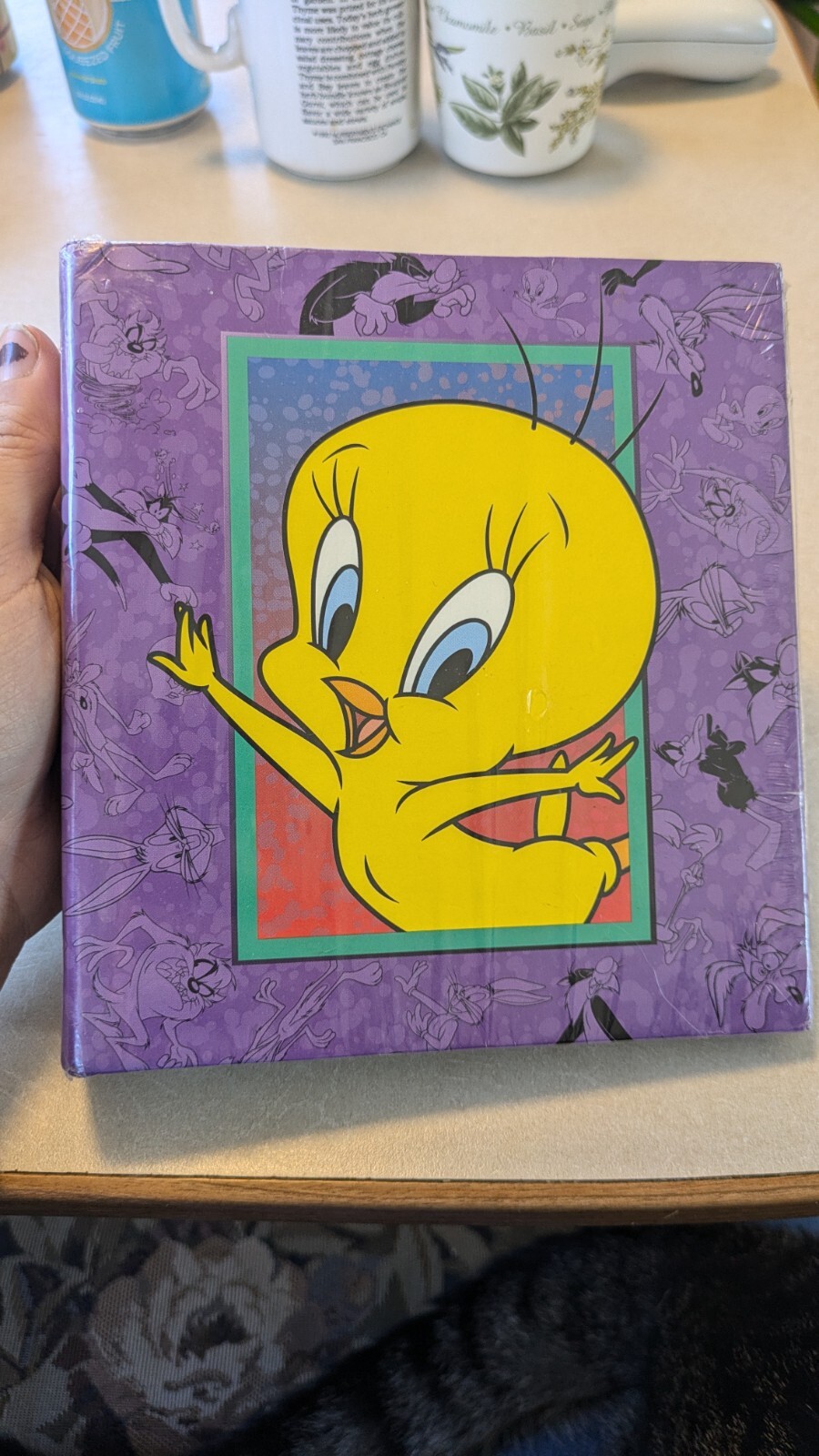 Vintage 1998 Looney Tunes Sylvester And Tweety Bird Holson 4x6 Photo Album (New)