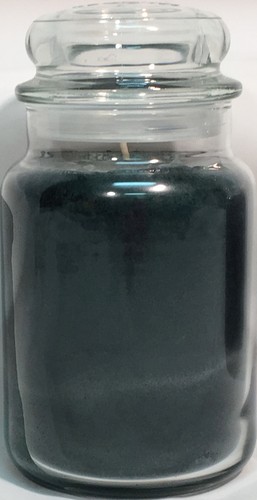 RARE Yankee Candle HOLIDAY 22oz LARGE JAR RETIRED WINTER LIMITD ED SCENTS U PICK - Picture 15 of 230