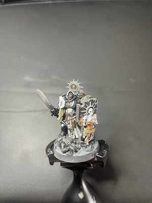 Warhammer 40K Black Templars Bladeguard Vetran Painted Single Miniature
