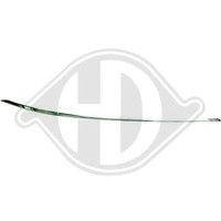 Diederichs 1616062 Zier-/Schutzleiste, StoßFäNger