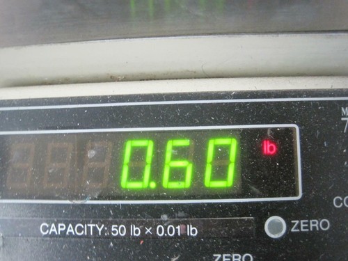 CMS TD/TC 25°C 100-1000 ML KUNSTSTOFF MESSZYLINDER POLUPROPYLEN SECHSKANTBODEN - Bild 9 von 9