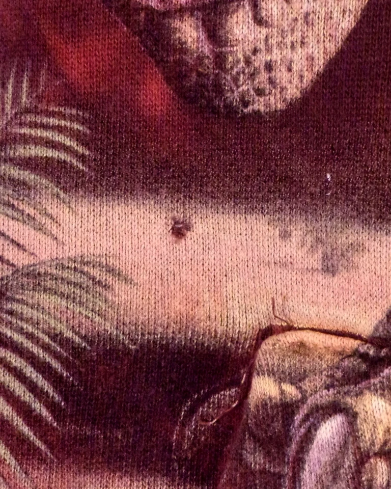 vintage EUC The Mountain Dinosaurs T Rex Hoodie Sweatshirt Tyrannosaurus YXL / M - Изображение 4 из 4