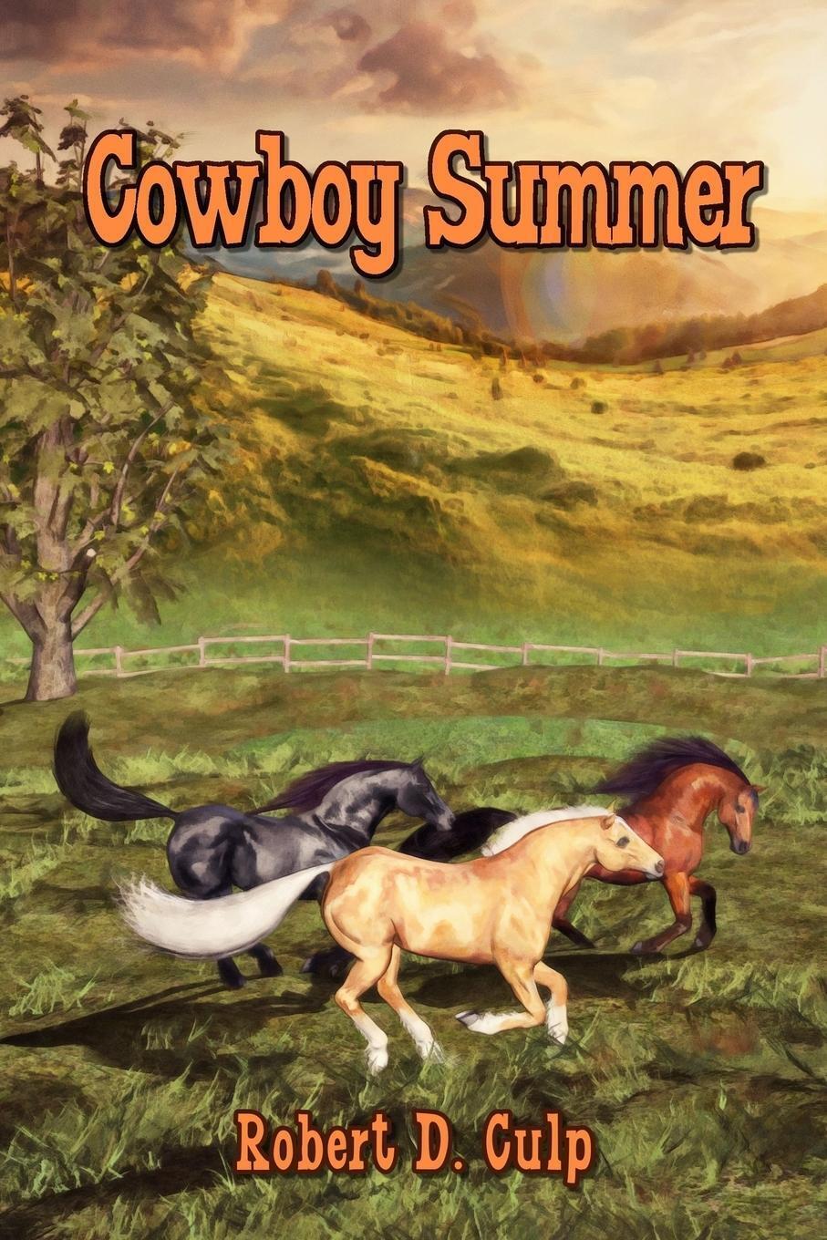 Thumbnail - Cowboy Summer Robert D. Culp Taschenbuch Paperback Englisch 2016