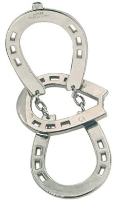 Hanayama Cast Puzzle Huzzle horse [difficulty level 2]