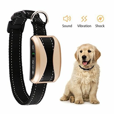 smart dog collar 2018