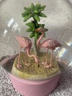 Bild 3 von 5