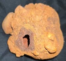 Unspecified Dinosaur Egg. Pecked Into Around 65 Million Years Ago. 