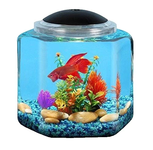 Tanque De Acrílico configuraciones de acuario completo