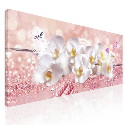 Botanisches Gemälde Weiße Orchideenblumen auf rosa Hintergrund, Bow16 Druckbild 