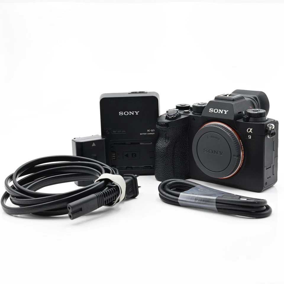 Sony Alpha a9 II 24.2MP Digital Camera *Full Spectrum IR Infrared converted #104