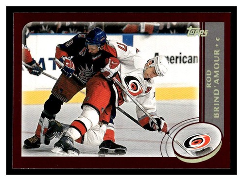 Rod Brind'Amour #130 2002 Topps card