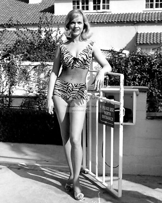 ACTRESS ANNE FRANCIS PIN UP - 8X10 PUBLICITY PHOTO (MW243) | eBay
