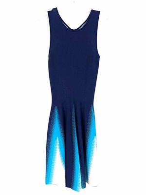 Issa Size XS Navy/Turq Triangles Gradient Designer Dress