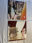 LED ZEPPELIN VINYL LOT OF 2 Houses Of the Holy Plus LED ZEPPELIN 2 Worn Playable
