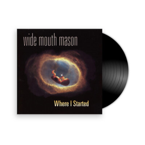 Wide Mouth Mason Where I Started (Vinyl LP) 12" Album