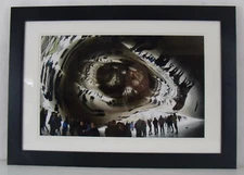 Under the Bean Matted and Framed Photographic Print 18" x 24"