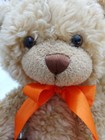 Bild 7 von 12