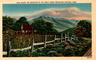 Sharp Top Mountain, Great Smoky Mountains National Park, Asheville, N. Postcard