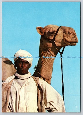 D305660 Sudan Camel Shepherd Three Bond Trading and Contracting Bureau Khartum