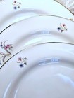 Tirschenreuth "TIR141" Set of 4 Dinner Plates — photo 5